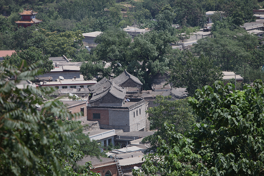 井陉核桃园